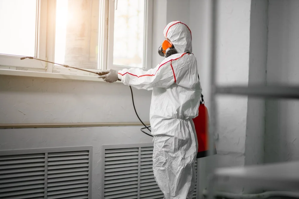 Professional mold remediation services in Chagrin Falls, OH